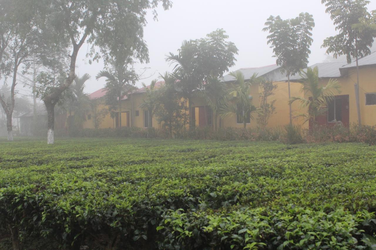 The Mystic Forest - A Tea Garden Resort At Dooars Madari Hat Екстер'єр фото