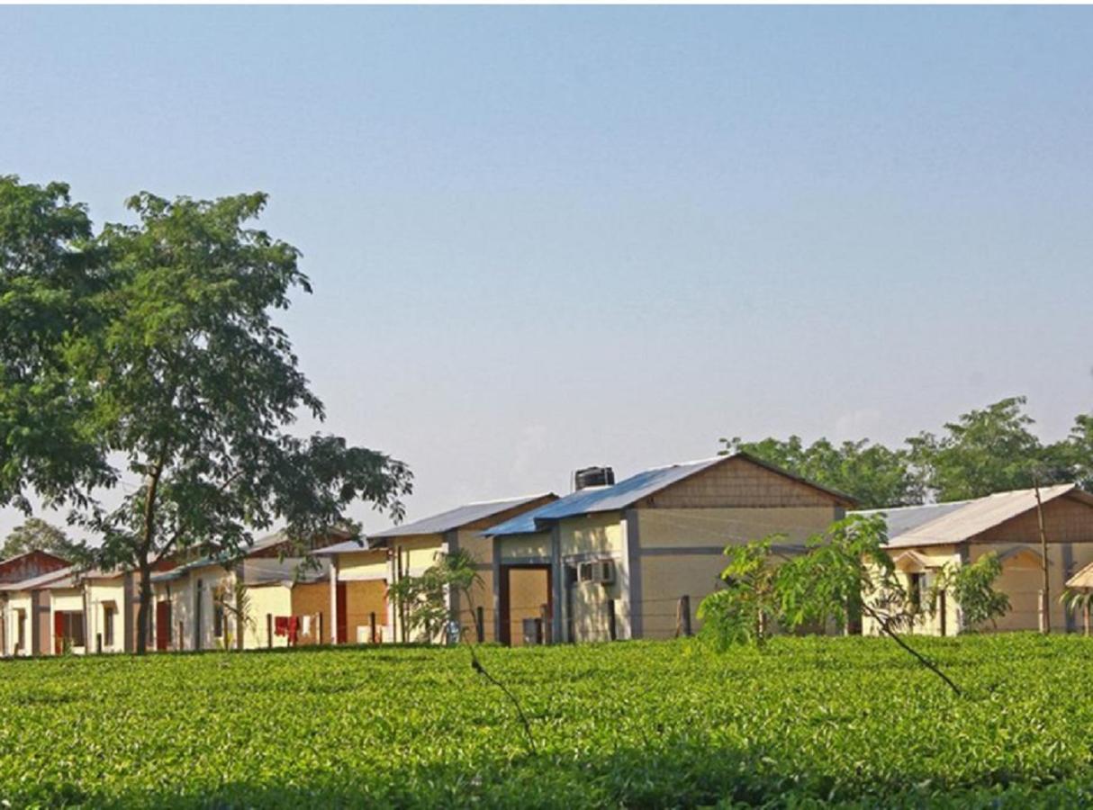 The Mystic Forest - A Tea Garden Resort At Dooars Madari Hat Екстер'єр фото