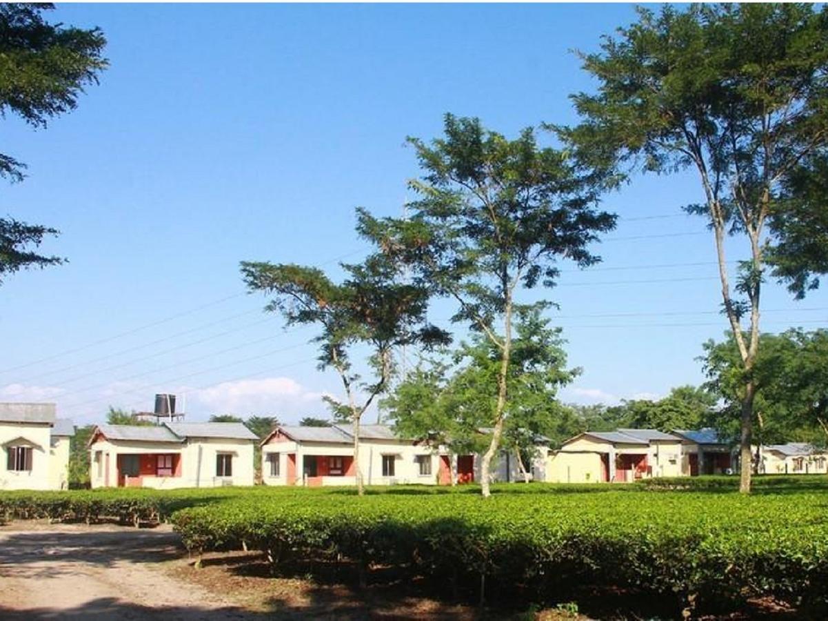 The Mystic Forest - A Tea Garden Resort At Dooars Madari Hat Екстер'єр фото